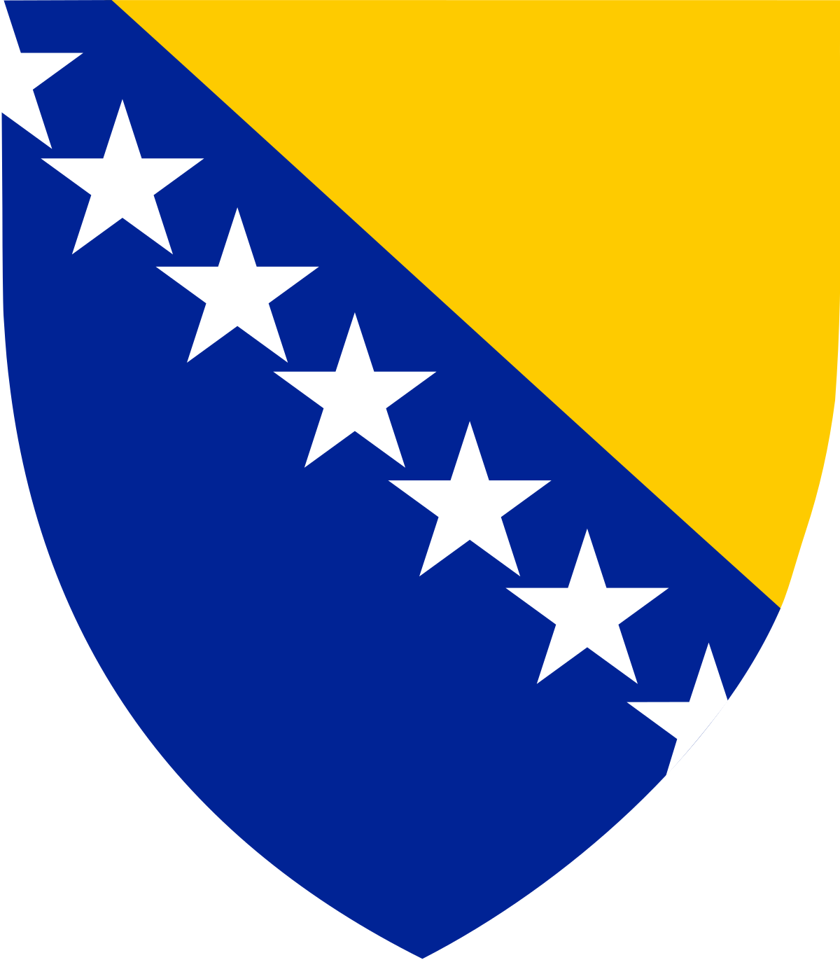 Bosnia Flag